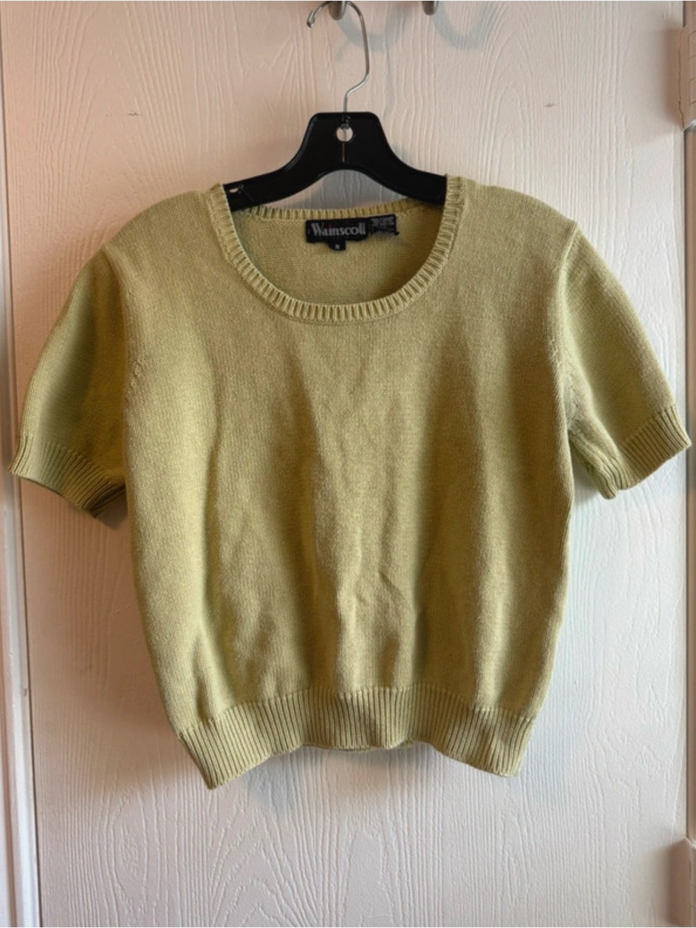 Short-Sleeve Crewneck Sweater in Sage Green